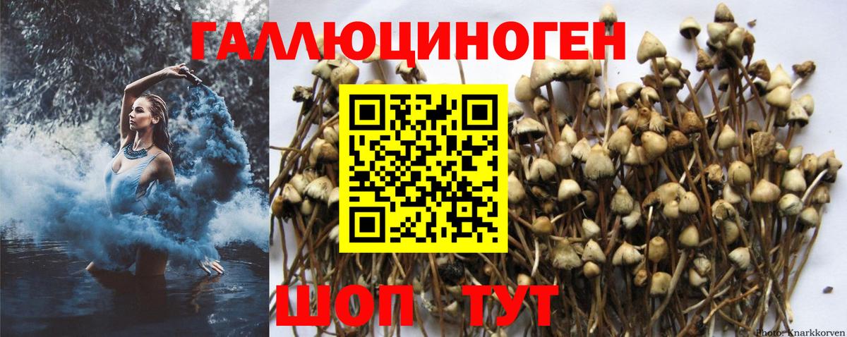 Нурлат  Галлюциногенные грибы MAGIC MUSHROOMS  Вход с VPN 