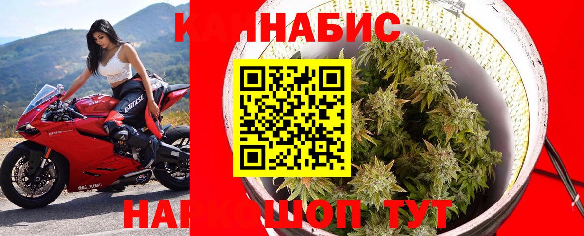 Конопля Bruce Banner  Каннабис OG Kush  Нурлат  Вход с VPN  Каннабис THC 21%  Шишки марихуана SATIVA & INDICA 